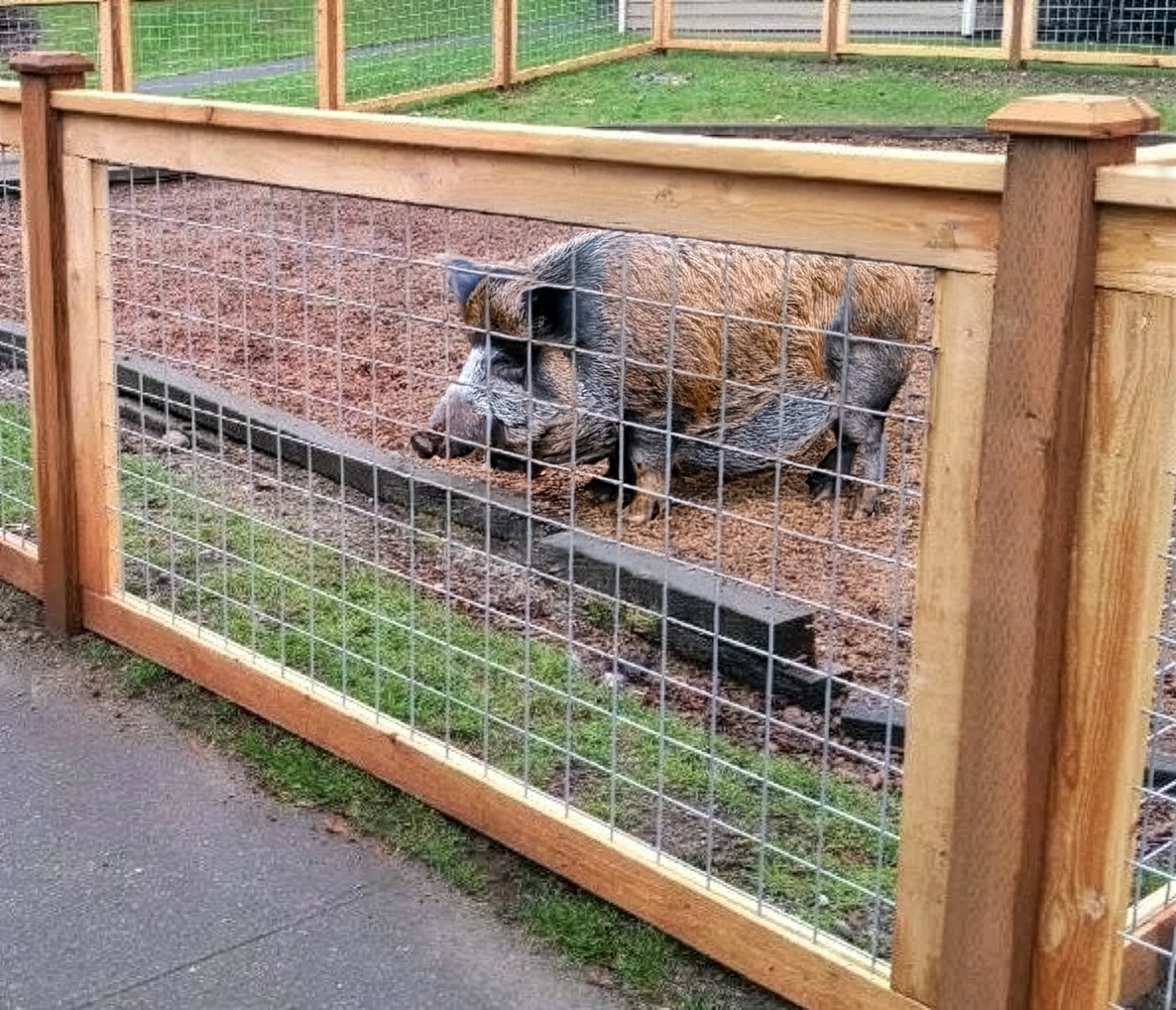 Wood and wire fence with enclosure.-deck builder-San Antonio, Texas